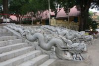 citadeldragons