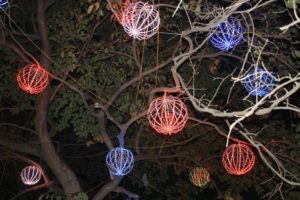 parktree