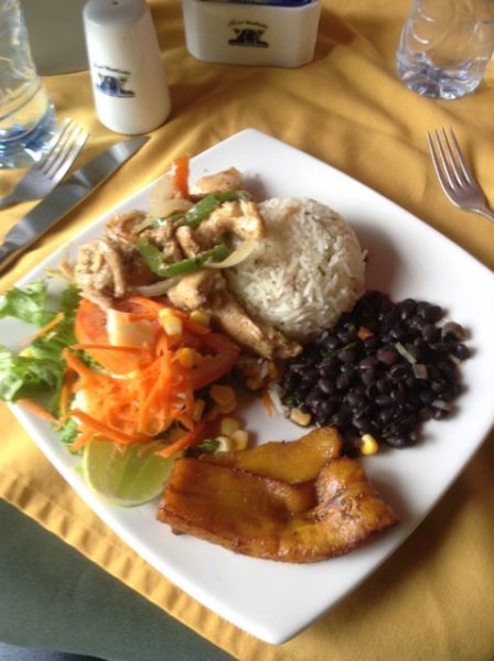 A typical casado plate: black beans and rice, salad, plantains and beef, chicken or fish.